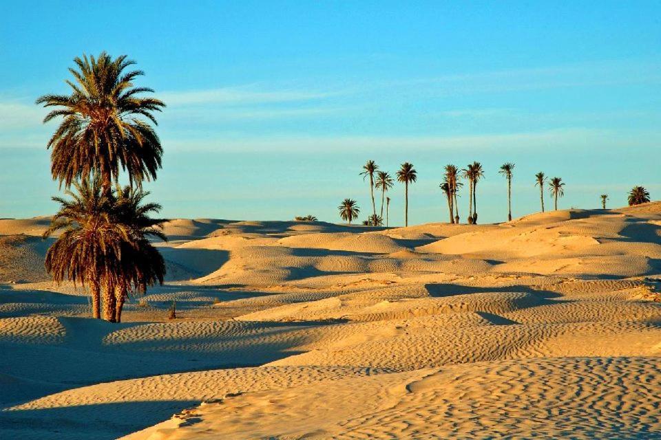 Camp Sahara Holidays M'Hamid Dış mekan fotoğraf