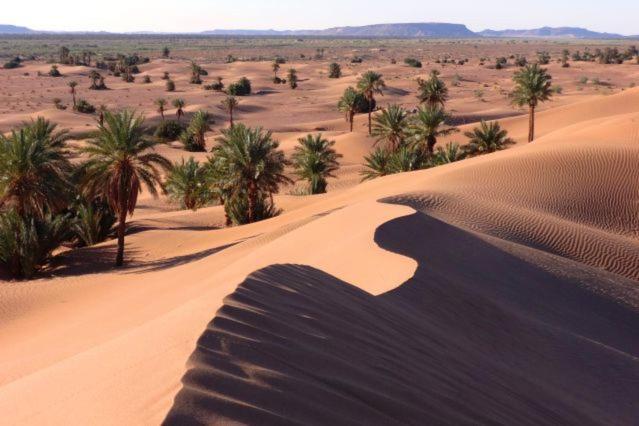 Camp Sahara Holidays M'Hamid Dış mekan fotoğraf