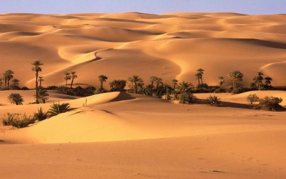 Camp Sahara Holidays M'Hamid Dış mekan fotoğraf