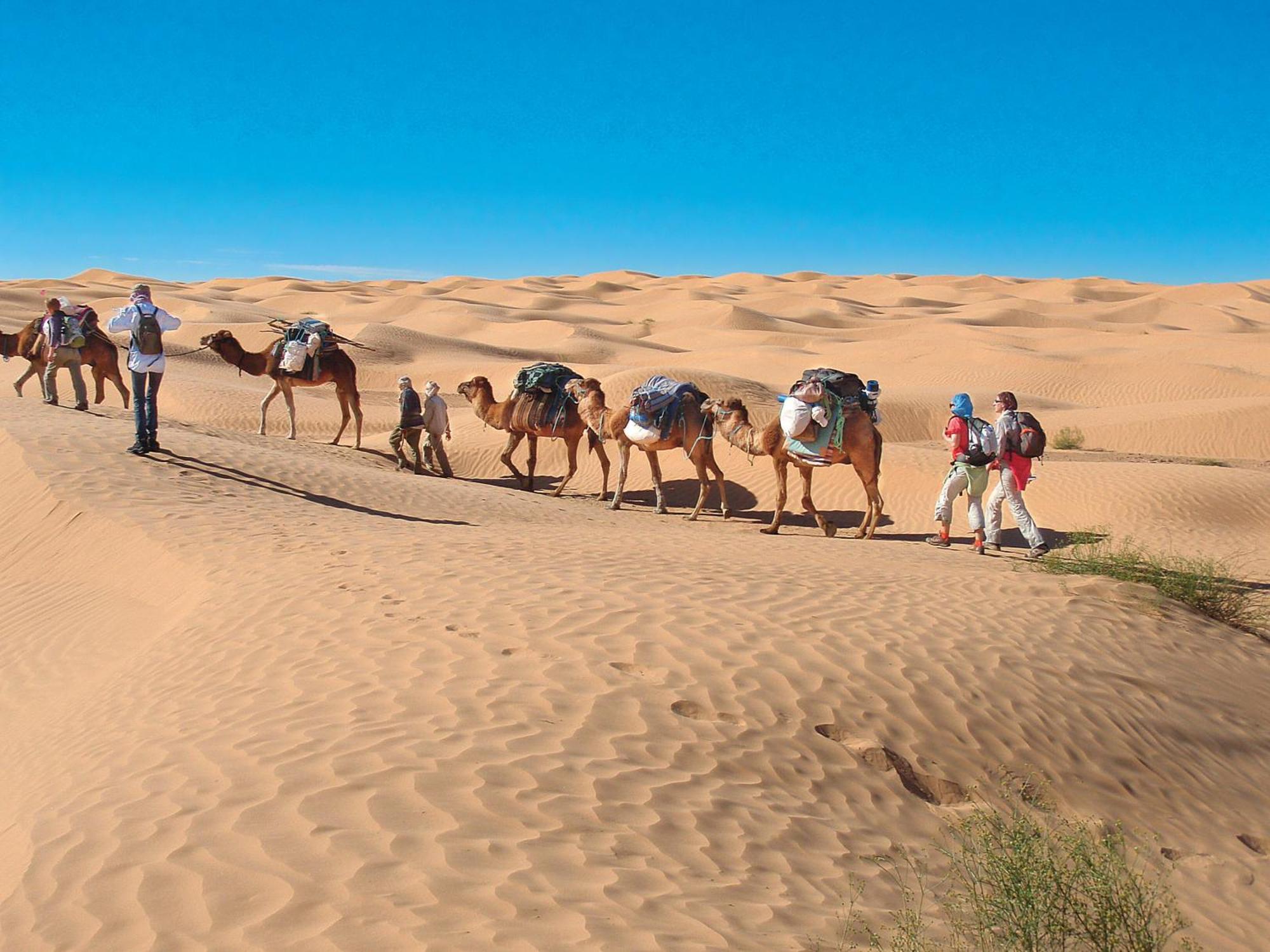 Camp Sahara Holidays M'Hamid Dış mekan fotoğraf
