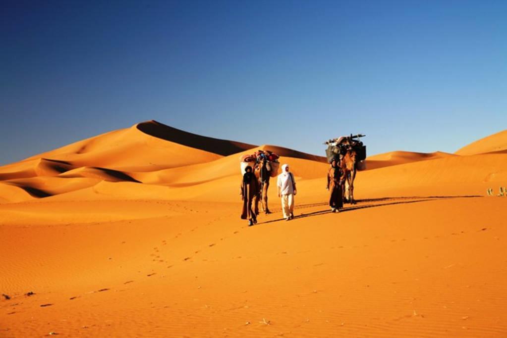 Camp Sahara Holidays M'Hamid Dış mekan fotoğraf
