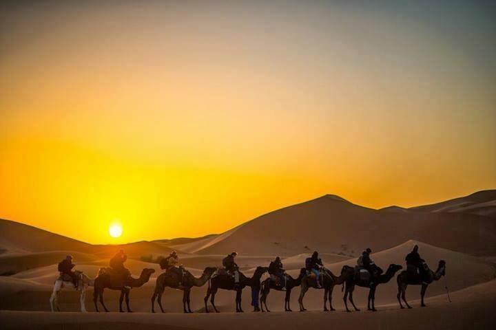 Camp Sahara Holidays M'Hamid Dış mekan fotoğraf