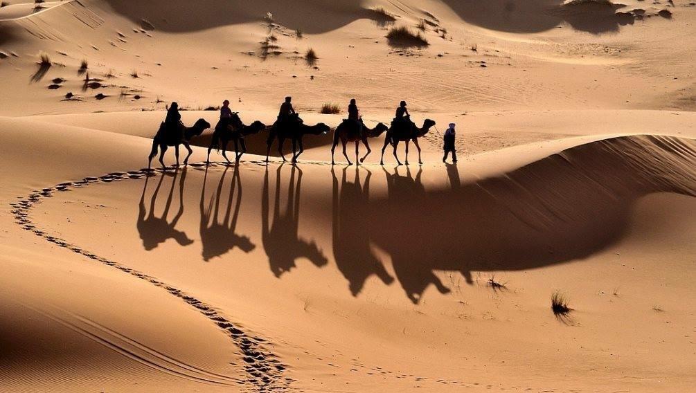 Camp Sahara Holidays M'Hamid Dış mekan fotoğraf