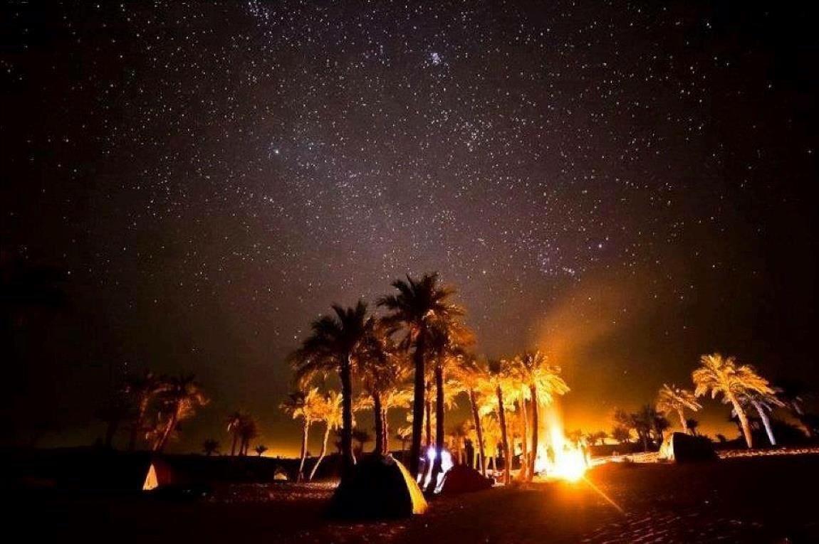 Camp Sahara Holidays M'Hamid Dış mekan fotoğraf