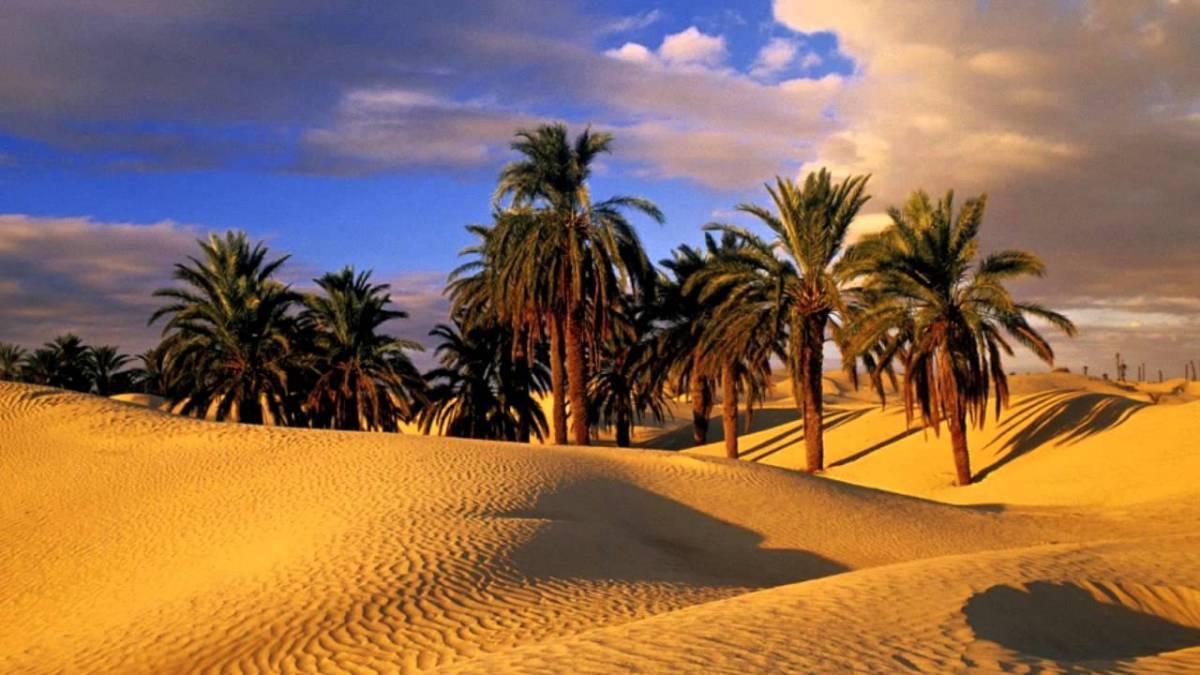 Camp Sahara Holidays M'Hamid Dış mekan fotoğraf