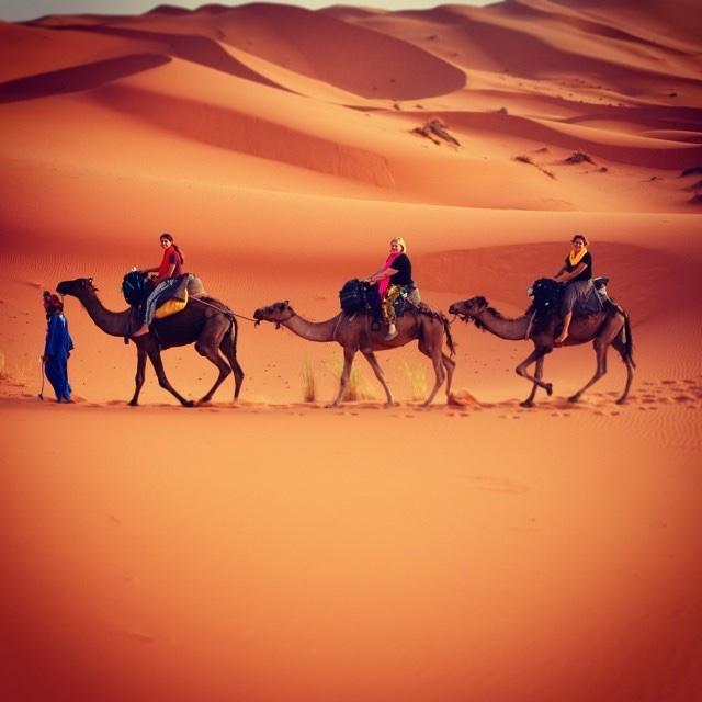 Camp Sahara Holidays M'Hamid Dış mekan fotoğraf