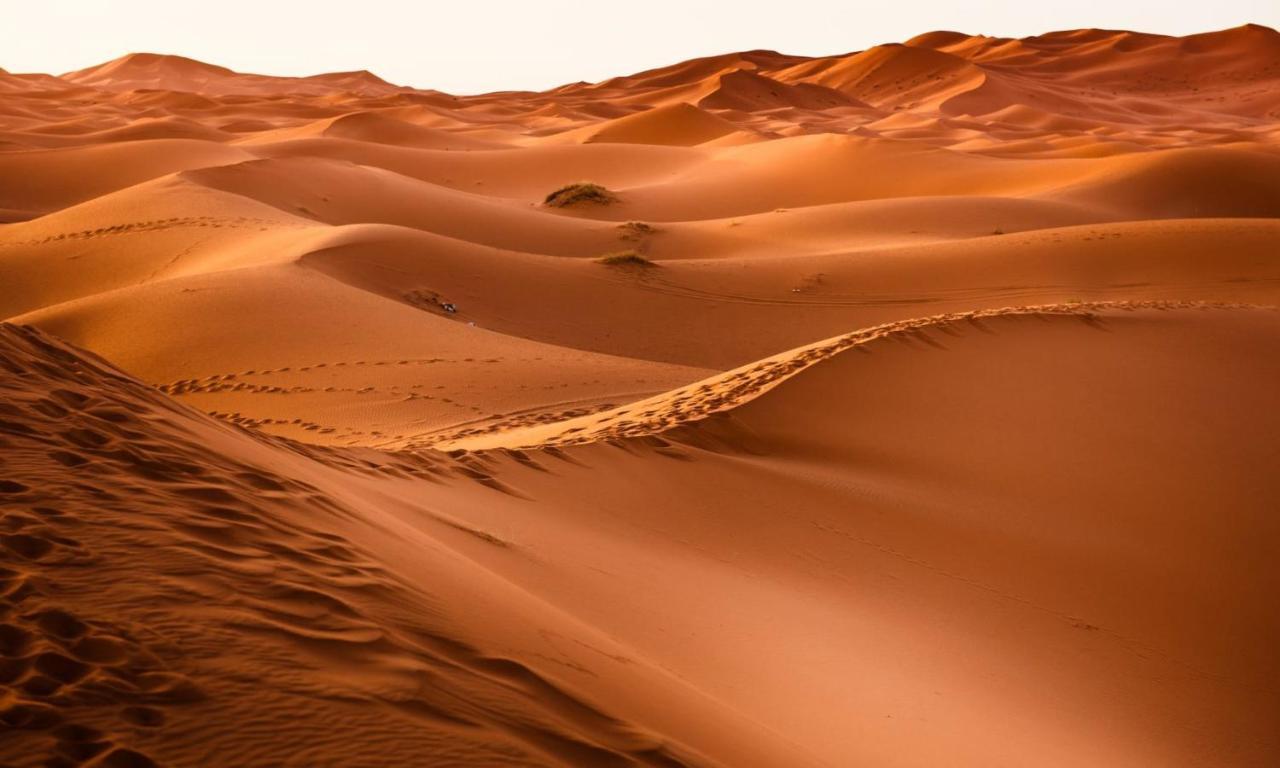 Camp Sahara Holidays M'Hamid Dış mekan fotoğraf