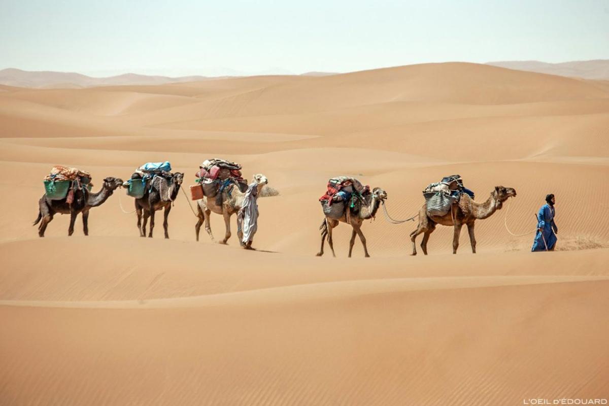 Camp Sahara Holidays M'Hamid Dış mekan fotoğraf