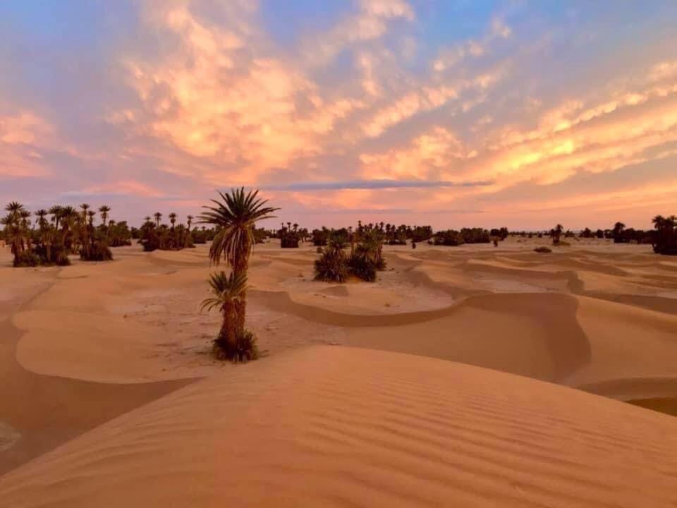 Camp Sahara Holidays M'Hamid Dış mekan fotoğraf